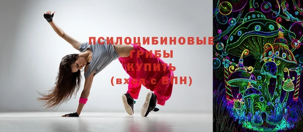 стаф Аркадак