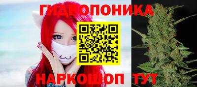 гидра Новокубанск