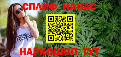 тгк Новозыбков