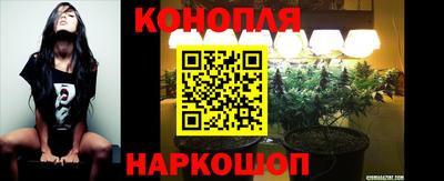 тгк Новозыбков