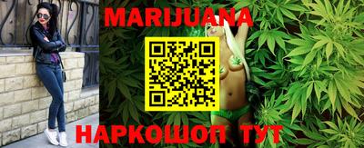 тгк Новозыбков
