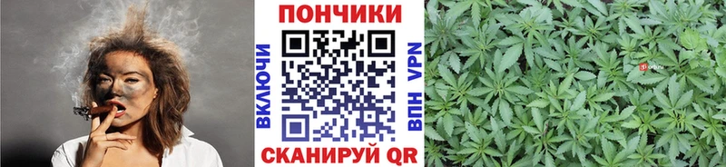 Каннабис конопля  где продают наркотики  KRAKEN как войти  Новодвинск 